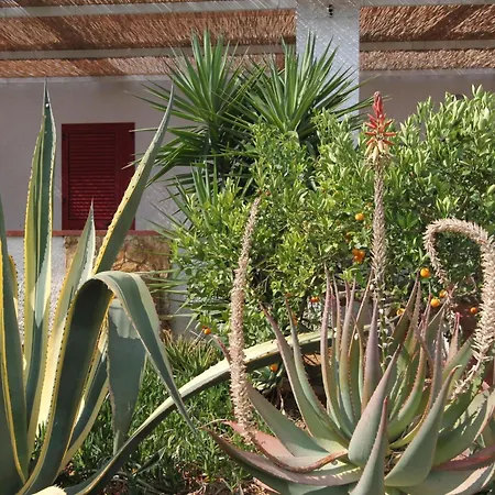 In Marinella Di Selinunte 150 M From The Sea Apartamento Castelvetrano